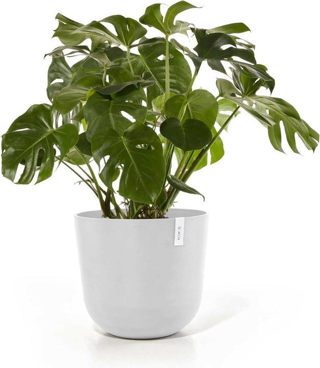 Immagine prodotto Ecopots Oslo