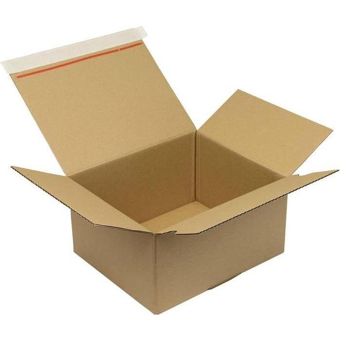 Transpak, Cartone + Scatola di spedizione, Cartone automatico a 1 parete fondo automatico dimensioni 260x220x130mm SK qualità 1.3B marrone (40 x)