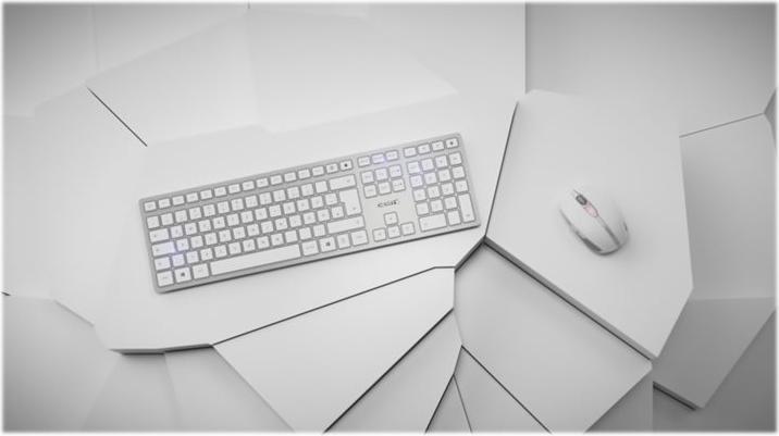 Image du produit CHERRY DW 9100 SLIM (FR, Filaire)