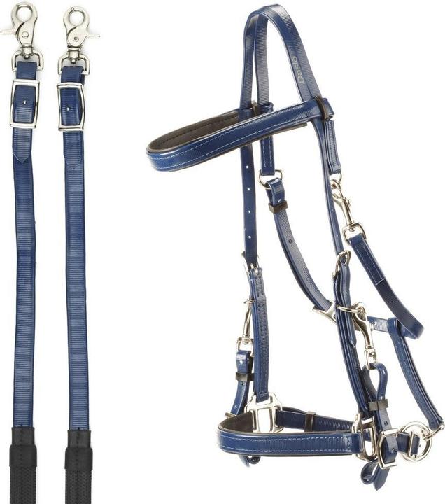 Image du produit Daslö Bridons pour cheval pour endurance en pvc