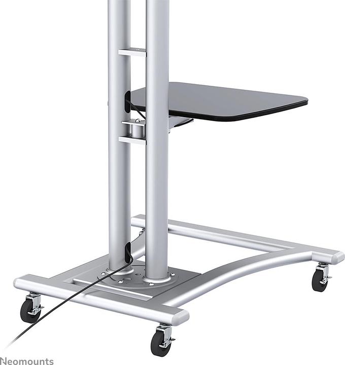 Actual product image Neomounts Plasma-M1800e (70", 50 kg)