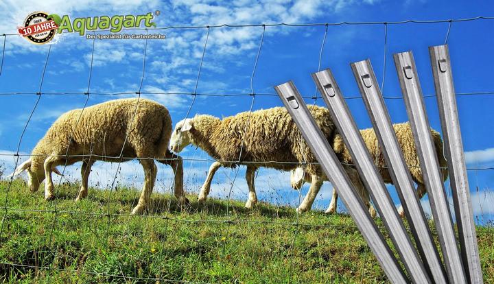 Produktbild Aquagart 20 W-Profil Zaunanker Erdanker für Wildzaun Forstzaun Weidezaun 50cm