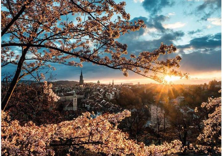 Produktbild Ravensburger Kirschblüten in Bern (1000 Teile)
