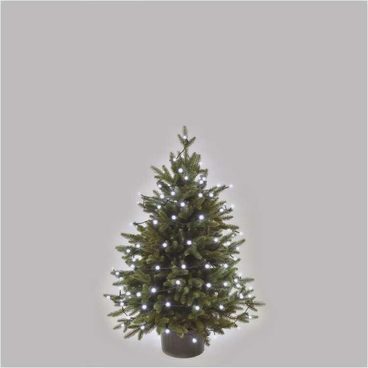 Emos, Lichterkette, D5AC02 (8 m)