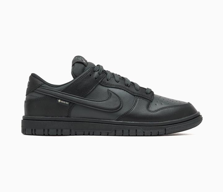 Produktbild Nike Dunk Low Gore-Tex (41)