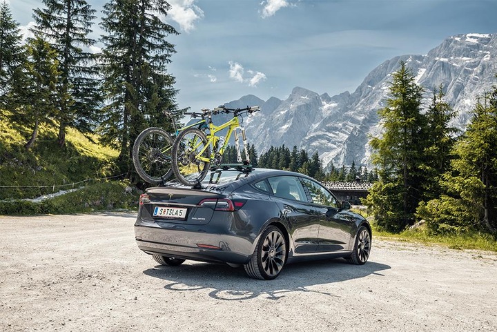 Produktbild TreeFrog Fahrrad Dachträger Pro 2