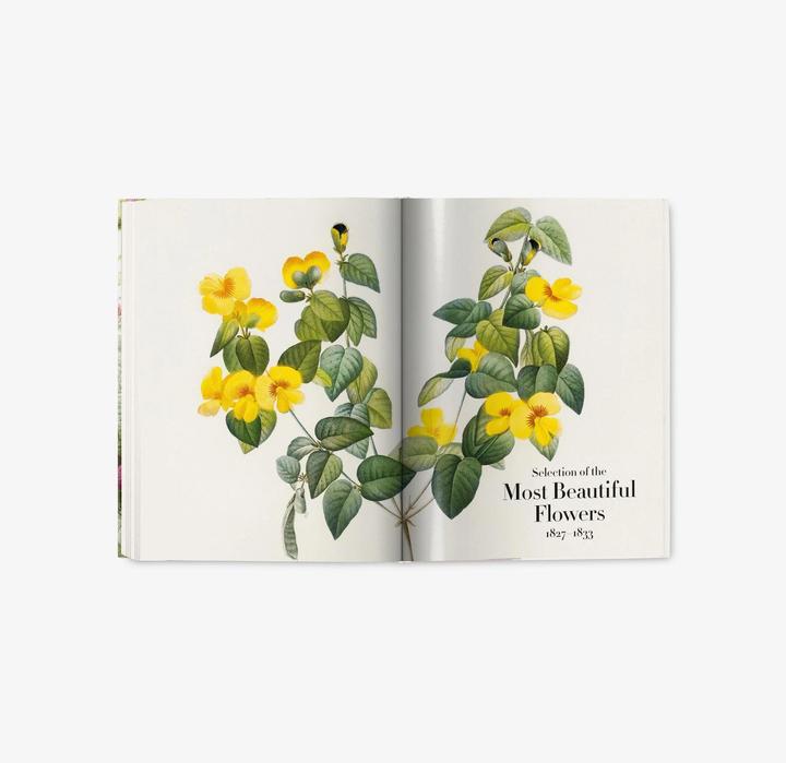 Produktbild Redouté. The Book of Flowers (Deutsch, H. Walter Lack, 2017)