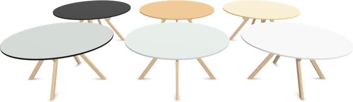 Image du produit Dietiker Felber T14 Table de réunion Round (1600 x 1600 x 720 mm)