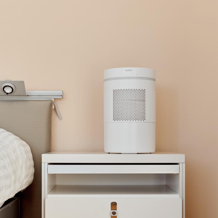 Actual product image ecofort ecoQ HumidAir E300+ (40 m²)
