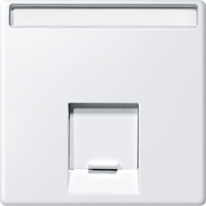Produktbild Merten Zentralplatte MEG4573-0419 1fach polarweiss System M