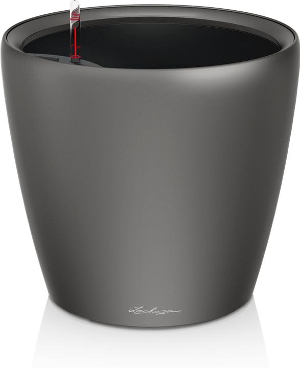 Image du produit Lechuza Classico (49.50 x 46.50 cm)