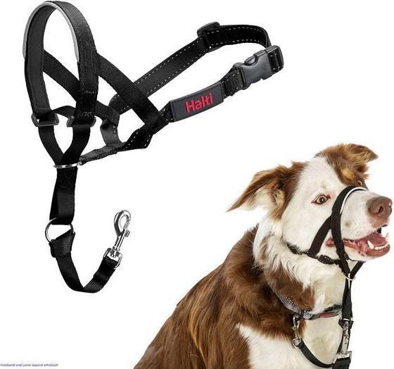 Actual product image Company of Animals Haiti (One size, Dog)