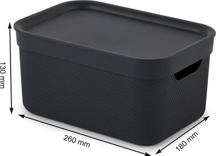 Actual product image Rotho Jive (26 x 18 x 13 cm, 5 l)
