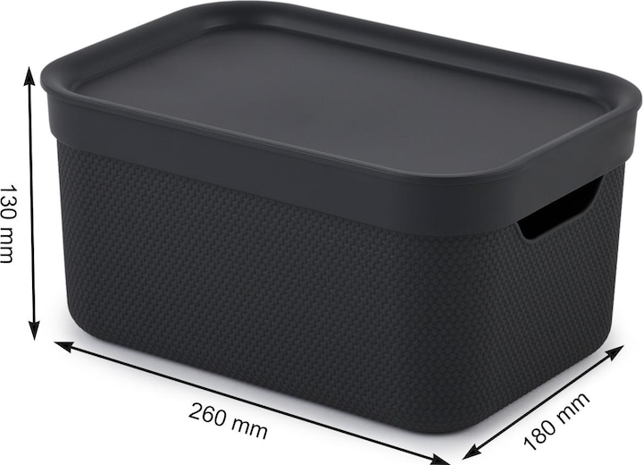 Produktbild Rotho Jive (26 x 18 x 13 cm, 5 l)