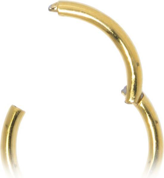 Immagine prodotto Bijouteria Piercing per naso (Acciaio inossidabile, Rivestimento PVD)