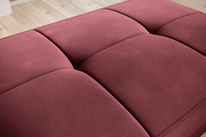 Actual product image ELTAP Bellis