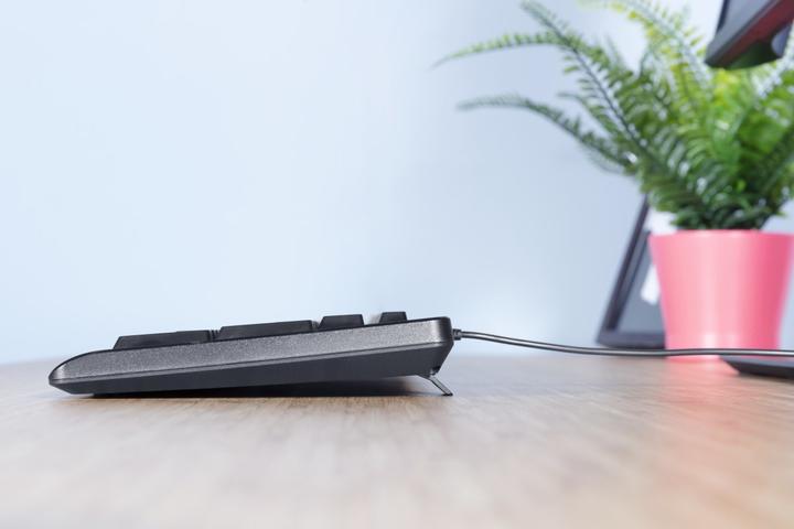 Immagine prodotto Trust Tastiera Primo USB QWERTY US English Nero (US, Cablato)