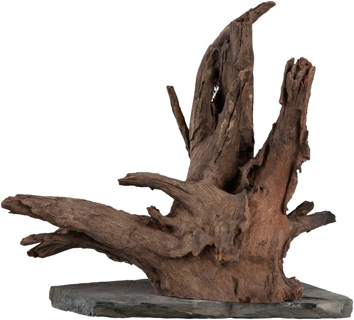 Actual product image Sera Roots Decoration Set (Embellishment, other items)