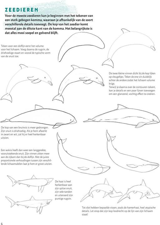 Actual product image Learn to draw animals step by step