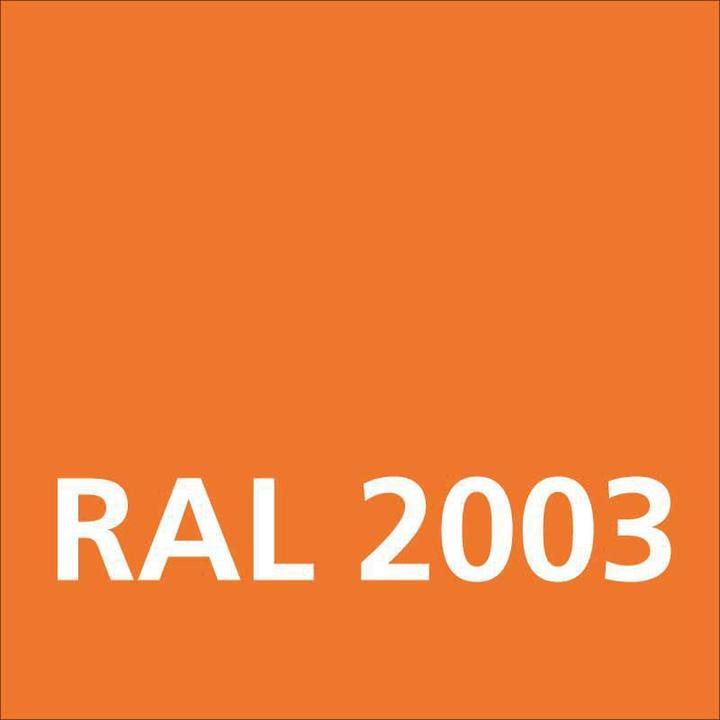 Actual product image Dupli-Color Glossy acrylic paint RAL 2003 pastel orange (Pastel orange, 0.40 l)