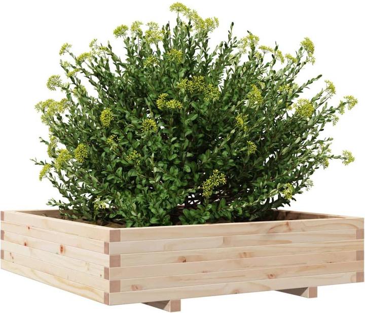 Actual product image vidaXL Pflanzgefäss