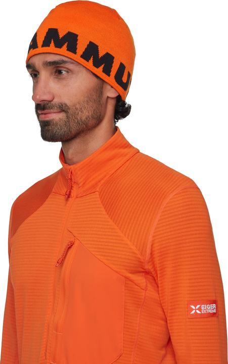 Actual product image Mammut Logo Beanie (One size)