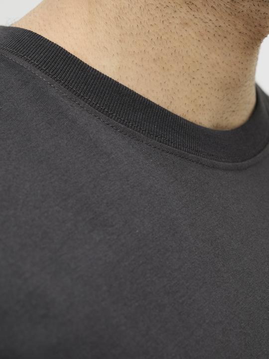 Actual product image Jack & Jones Rdddan Crew Neck Tee S/S Noos (M)