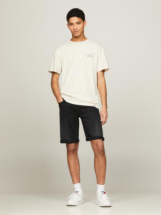 Actual product image Tommy Hilfiger RONNIE denim shorts (Frequency band 38 (2600 MHz))