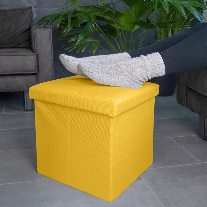 Actual product image Intirilife Foldable stool with storage space