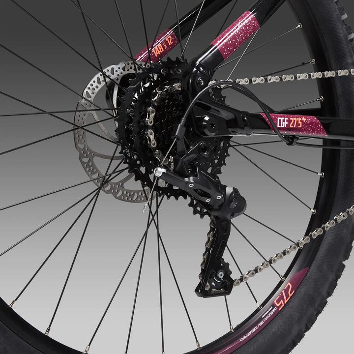 Actual product image Rockrider E-ST 520 (43.60 cm)