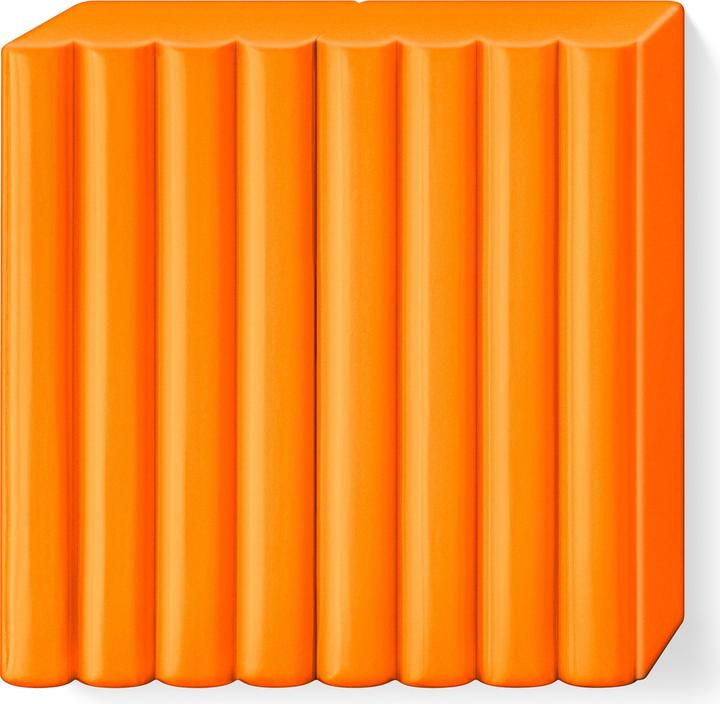 Actual product image Fimo Soft- Block