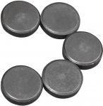 Produktbild Rayher Magnet, 20mm ø, 5 Stück (5x)