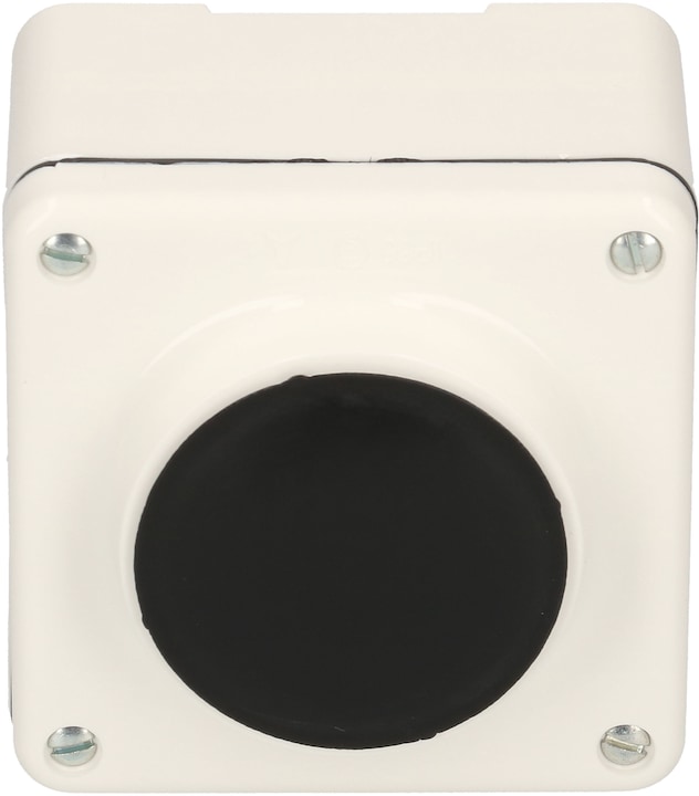 Actual product image Mica Wet switch AP SCH3 white