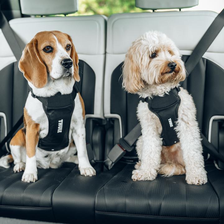Produktbild Thule Hundegeschirr Cappy (Hund, Atmungsaktiv, Waschbar)