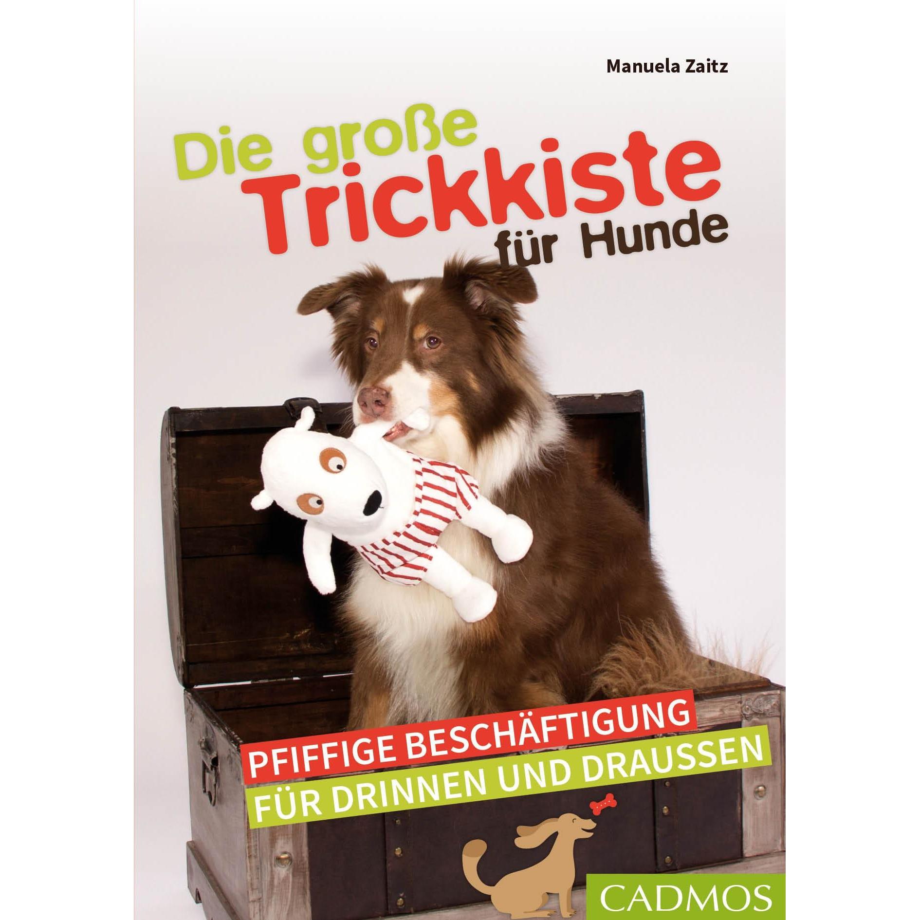 Die grosse Trickkiste für Hunde, Ratgeber von Manuela Zaitz