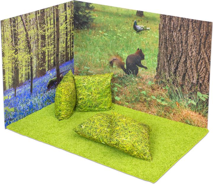 Produktbild Betzold Erlebnisecke aus Wand- & Bodenteppiche (100 x 150 cm)