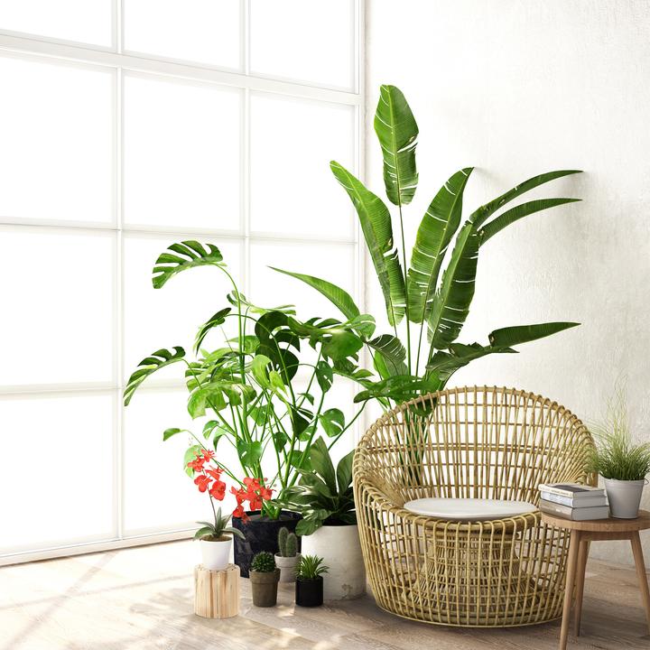 Produktbild Relaxdays Blumenhocker