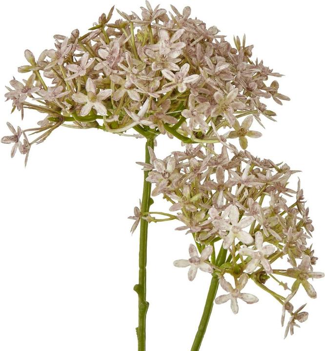 Actual product image Hill Interiors Hydrangea Artificial Flower (71 cm)