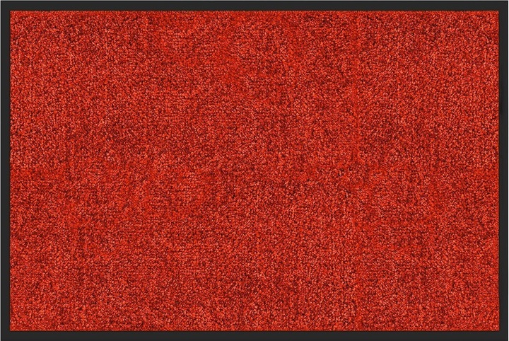 Rot