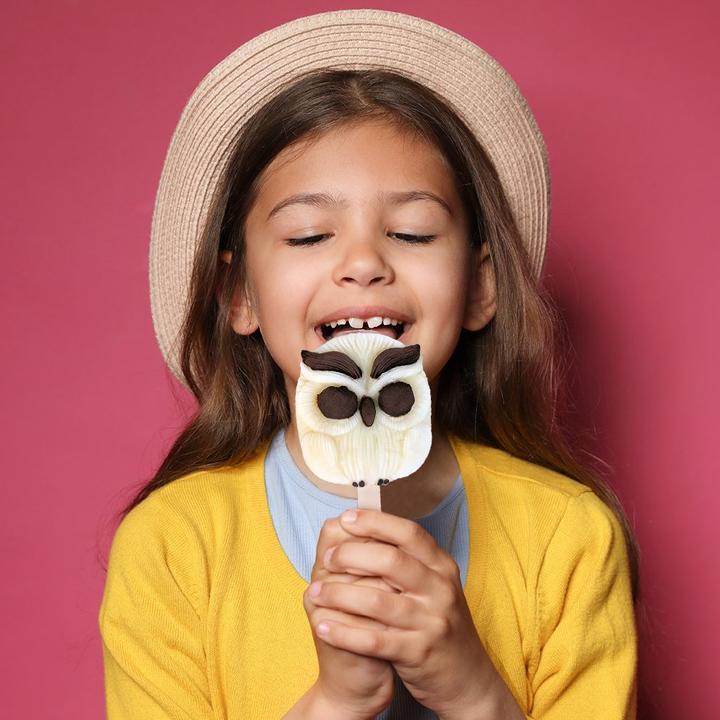 Actual product image Metamorph Eule Silikonform für Eis am Stiel