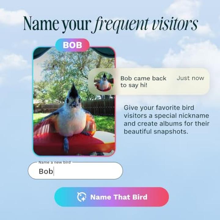 Produktbild Bird Buddy Futterspender