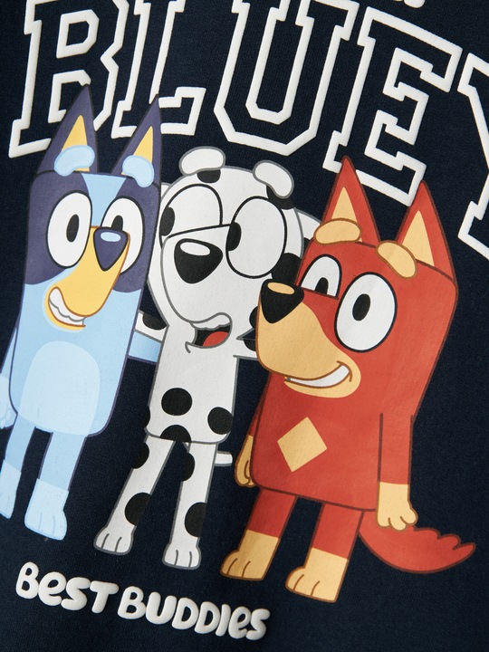 Actual product image Name it Bluey sweatshirt (80)