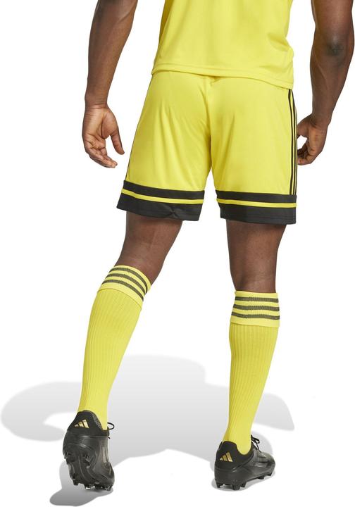 Actual product image adidas Squadra 25 Short (L)