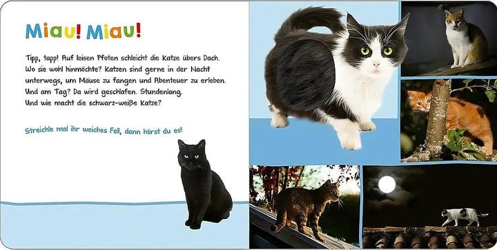 Actual product image Hör mal rein, wer kann das sein? - Tiere in der Nacht (German)