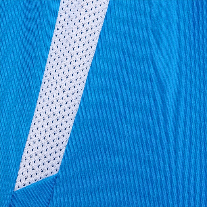Actual product image Puma teamLIGA Shorts Jr-704931 (176)