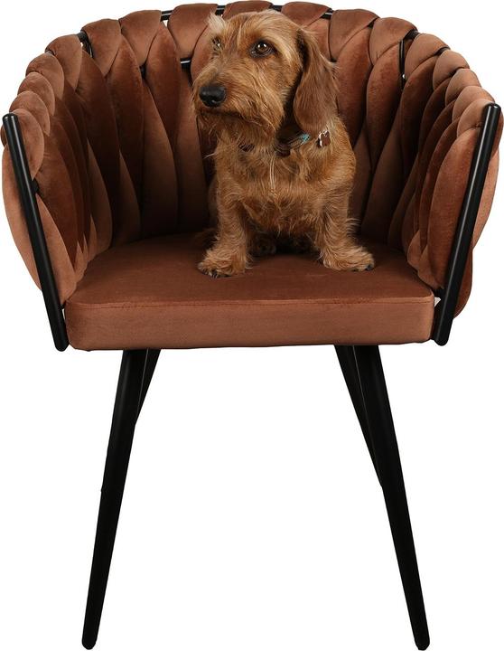 Image du produit Pole to Pole Wave Marron