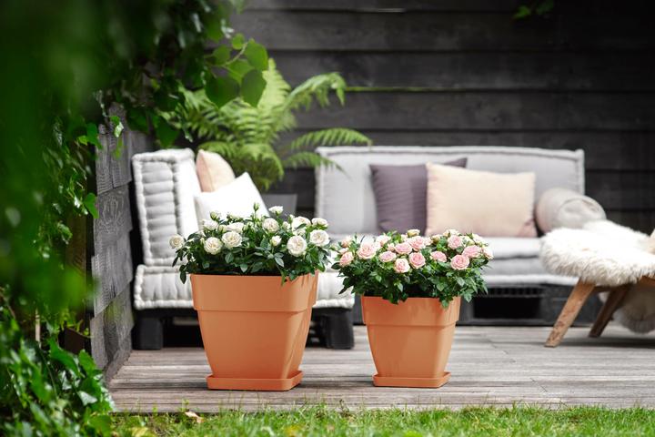 Actual product image Elho Flower box (30 x 29 x 28 cm)