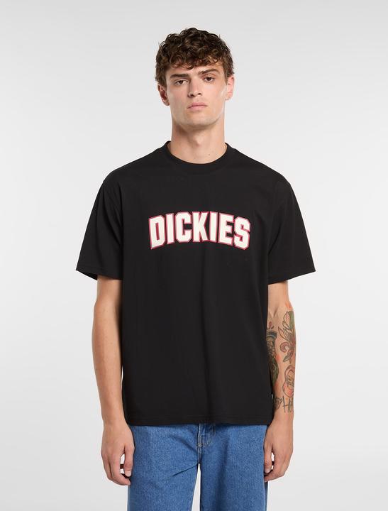 Produktbild Dickies Aitkin Ss Tee (M)