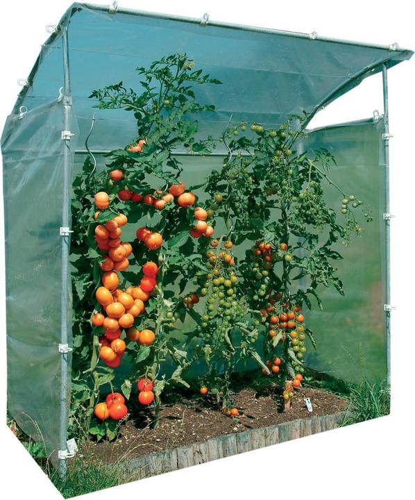 Neogard Rollo zu Tomatenhaus