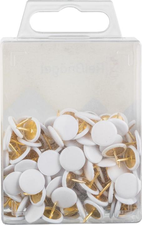 Actual product image Idena Drawing pins white 120 pieces (120 pcs., 20 mm)
